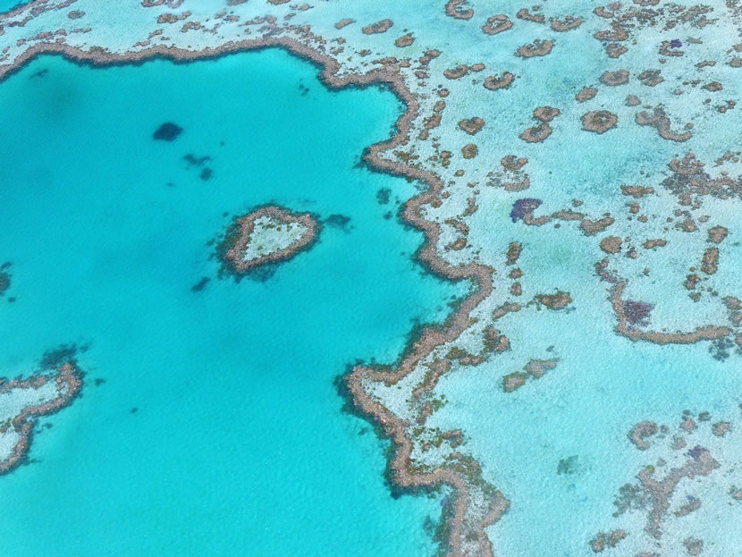 7 Best Places to Visit in Australia - Great Barrier Reef